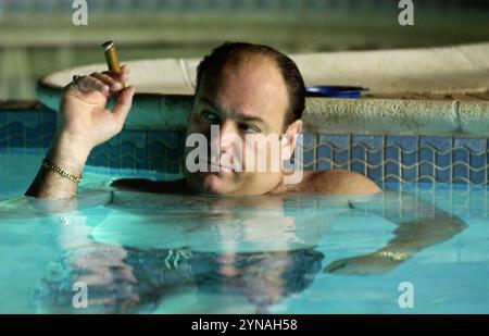 LA serie televisiva SOPRANO HBO 1999-2007 con James Gandolfini nel ruolo di Tony Soprano Foto Stock