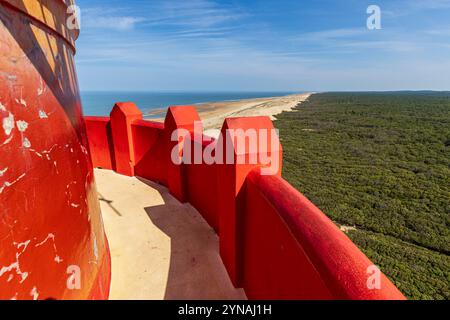 Francia, Charente-Maritime, Côte Sauvage, Pointe de la Coubre, la Tremblade, vista dalla corona nord del faro di la Coubre sulla foresta domaniale di la Coubre e sulle lunghe spiagge di dune del Côte Sauvage Foto Stock