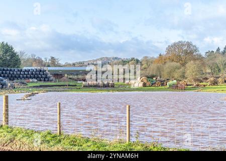 Kidderminster, Regno Unito. 25 novembre 2024. Meteo nel Regno Unito: Una giornata di sole splendente. Gli agricoltori si trovano ad affrontare problemi di inondazione mentre Storm Bert si rilassa nelle Midlands dopo un fine settimana turbolento e tempestoso. Crediti: Lee Hudson/Alamy Live News Foto Stock