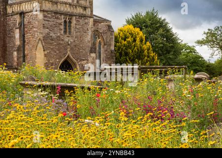 Regno Unito, Inghilterra, Gloucestershire, vale of Berkeley, Berkeley, St Mary's Churchyard, fiori selvatici intorno alle tombe Foto Stock