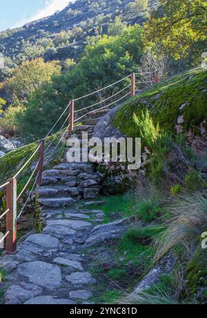 Percorso semi-scavato nella roccia che corre parallela al fiume. Riserva naturale Garganta de los Infiernos, Estremadura, Spagna Foto Stock