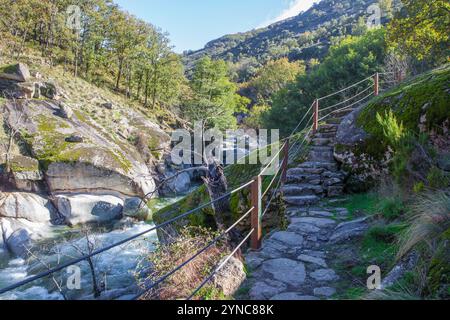 Percorso semi-scavato nella roccia che corre parallela al fiume. Riserva naturale Garganta de los Infiernos, Estremadura, Spagna Foto Stock