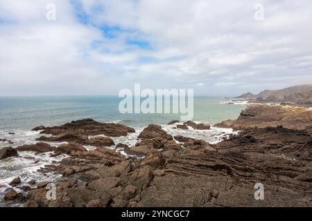 Bassa marea a Hartland Quay, guardando a nord lungo la costa del Devon, Regno Unito Foto Stock