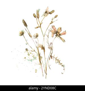 Campo, fiori selvatici e cosmo di erbe aromatiche, tazze, dente di leone, pisello di topo con farfalla. Illustrazione ad acquerello disegnata a mano in beige, marrone e ocra Foto Stock