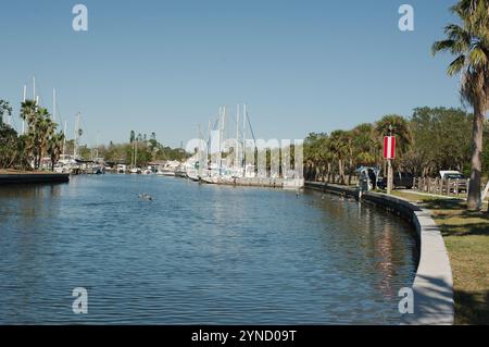 Curva a S di Seawall sulla destra con palme verdi. lato destro della banchina. Vista sul porticciolo di Gulfport in una giornata di sole. acqua calma con barche e alberi Foto Stock