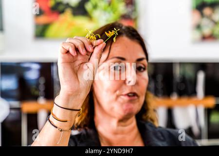 Laboratorio di cucina caraibica con lo chef Helmi Smeulders. Lo chef raccoglie tutto ciò che è commestibile dalla vegetazione locale. Djonora Marthaweg, Kòrsou, Curacao, Curacao Foto Stock