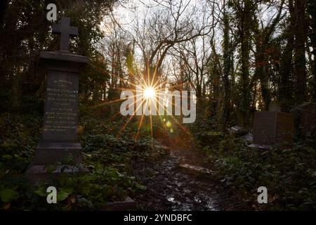 Il sole splende tra gli alberi, Nunhead Cemetery, Nunhead, Londra, Inghilterra, gran Bretagna Foto Stock