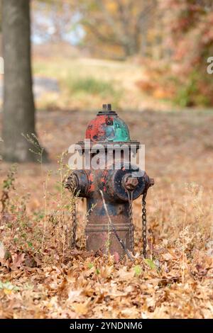 Idrante del fuoco nel Central Park, New York circondato da foglie secche d'autunno Foto Stock