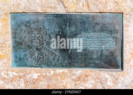 Cartello informativo con parole in spagnolo su Monumento una scultura Bacardi di Lorenzo Quinn che guarda al futuro, Sitges, Spagna Foto Stock