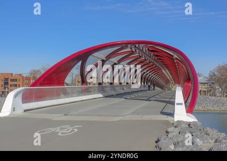 Calgary, Alberta, Canada. 10 luglio 2023. Vista interna del Peace Bridge, che ospita persone che camminano e pedalano lungo il fiume Bow Foto Stock