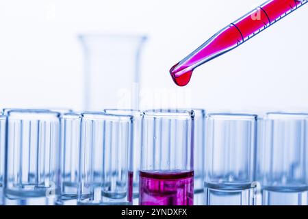 Molte provette durante un esperimento in un laboratorio di ricerca universitario. Foto simbolica per l'apprendimento e la ricerca, foto studio pipette, Austria, EUR Foto Stock