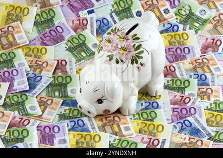 Un salvadanaio giace su banconote in euro, euro, banconote, banconote, risparmi, previdenza per vecchiaia, pensione, foto studio nido, Repubblica Federale di Foto Stock