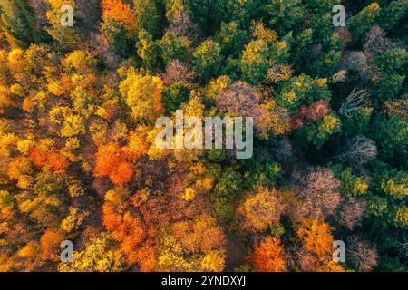 Colori autunnali da una vista a volo d'uccello. Autunno nella piccola Polonia Foto Stock