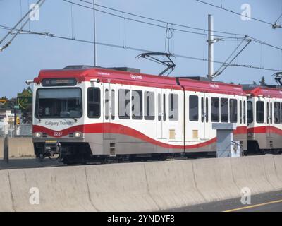 Calgary, Alberta, Canada. 21 luglio 2024. Un treno C di Calgary colorato in rosso e bianco viaggia lungo una corsia sopraelevata separata da un controbattitore Foto Stock