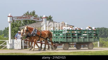 Calgary, Alberta, Canada. 10 giugno 2023. Qualcuno che si goda una giornata estiva all'Heritage Park, guidando un carro trainato da un paio di cavalli e trasportando ciambella Foto Stock