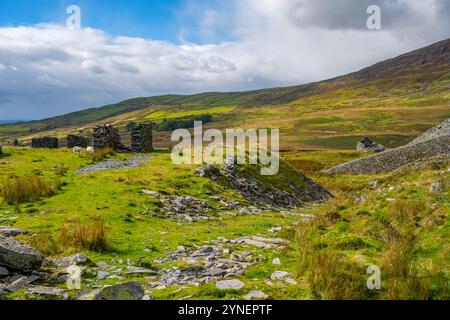 Cwm Ystradllyn e Gorseddau e le cave di ardesia del Principe di Galles Foto Stock