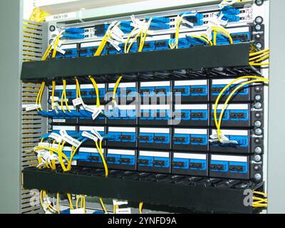 Un pannello di distribuzione della rete mostra connessioni a fibre ottiche organizzate. Diversi cavi sono fissati saldamente, garantendo un'efficiente trasmissione dei dati Foto Stock