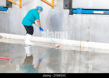 Donna che utilizza lo spazzolone per la pulizia del pavimento in fabbrica. Foto Stock