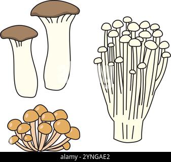 Semplici illustrazioni di funghi eryngii, enoki e nameko. Con il contorno. Illustrazione Vettoriale