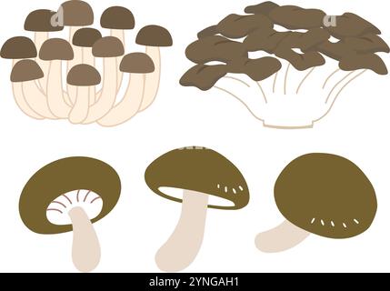 Semplici illustrazioni di shimeji, maitake e funghi shiitake. Design piatto. Illustrazione Vettoriale