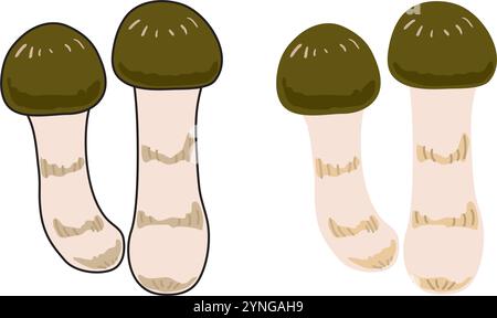 Semplice illustrazione del fungo matsutake. Ingredienti di lusso giapponesi. Illustrazione Vettoriale