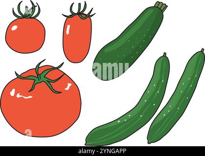 Set illustrativo di verdure estive con pomodori, zucchine e cetrioli. Con il contorno. Illustrazione Vettoriale