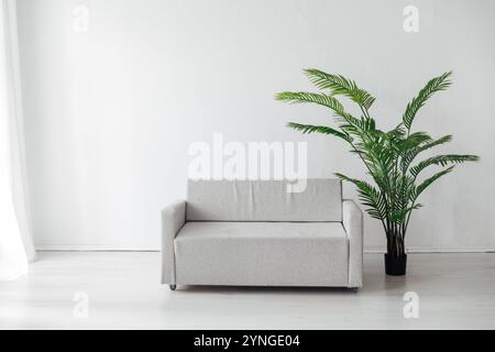 Divano da ufficio grigio e pianta all'interno di una camera bianca con finestra Foto Stock