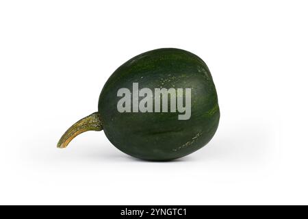 Piccolo squash verde scuro "African Smaragd Cucurbita Pepo" su sfondo bianco Foto Stock