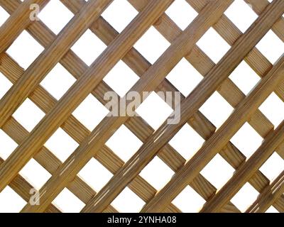 Griglia di isolamento della recinzione di legno su sfondo bianco. Taglio a reticolo in legno a griglia marrone senza cuciture. Foto Stock