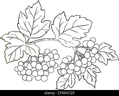 Illustrazione del profilo della filiale della rosa del cameriere Illustrazione Vettoriale