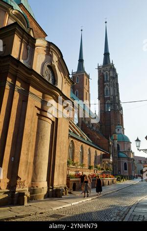 Cathedral Island, Cathedral of Saint John the Baptist, Cathedral Island, Wroclaw, Breslavia, bassa Slesia, Polonia Foto Stock