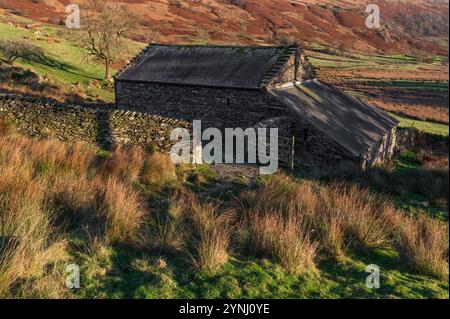 Tongue House a Kentmere, Cumbria Foto Stock