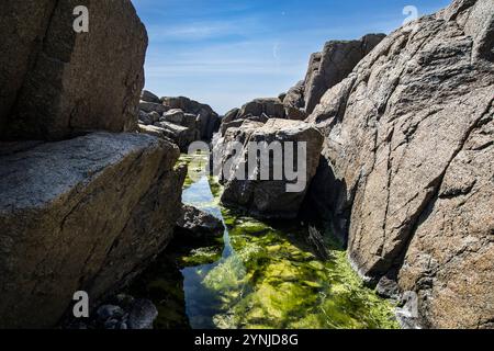 In "Verdens Ende" nel Faerder Nationalpark, contea di Faerder, il 23.05.2024. Foto: Markus Bolliger Foto Stock