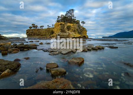 Australia, Tasmania, Eaglehwk Neck, Penisola di Forestier, pavimentazione intrecciata Foto Stock