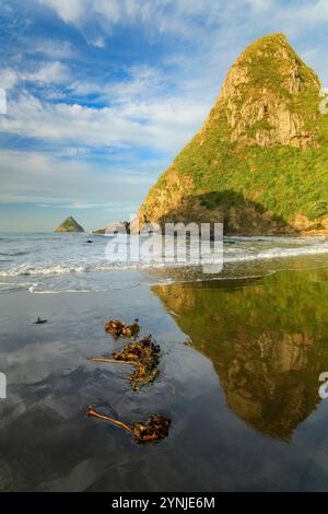 Nuova Zelanda, Isola del Nord, nuova Plymouth, Paritutu Centenial Park Foto Stock