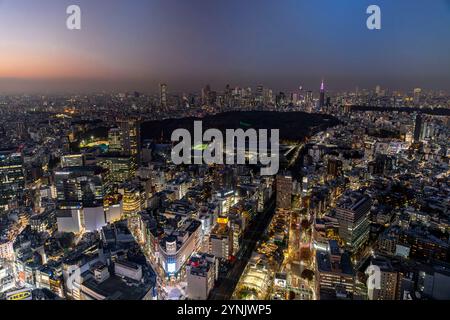 Il vivace skyline di Tokyo che si illumina al tramonto, con il parco meiji jingu gaien Foto Stock