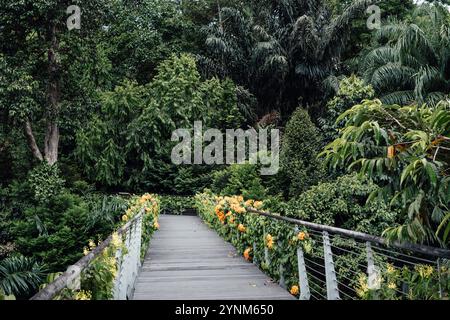 Affascinante passerella in un giardino botanico con fiori colorati a Singapore Foto Stock