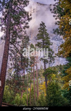 Novembre a Yosemite, dove la natura incontra la tranquillità ghiacciata. Foto Stock