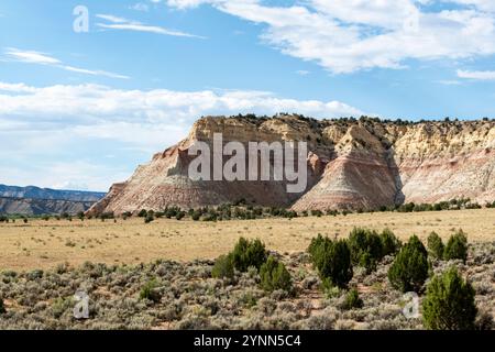 Coloratissimi strati di roccia a strisce rosse e bianche sulle pendici di una grande butte che si innalza dalle pianure desertiche ricoperte di pennello nello nello Utah, Stati Uniti Foto Stock