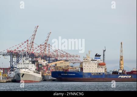 SUDAFRICA, porto di città del Capo, Transnet Port Terminals TPT di Transnet SOC Limited, società di trasporto e movimentazione merci di proprietà statale del Sudafrica, nave cargo russa MV More Sodruzhestva e MV Vasiliy Golovnin di FESCO Transportation Group, il più grande operatore di trasporto intermodale in Russia / SÜDAFRIKA, Kapstadt, Container Hafen, russische Frachtschiffe Foto Stock