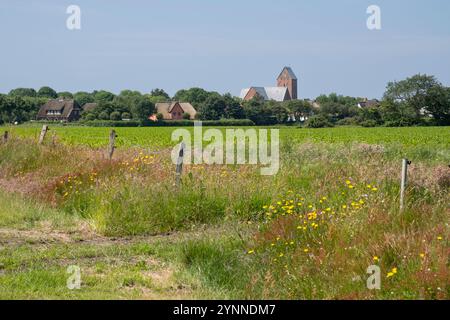 Vista di Nieblum con la chiesa di St. Johannis, isola di Föhr Foto Stock