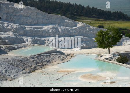 Le terrazze di travertino di Pamukkale sono lasciate da acqua termale che scorre, creando piscine termali naturali calde e alcune artificiali. Foto Stock