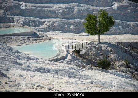 Le terrazze di travertino di Pamukkale sono lasciate da acqua termale che scorre, creando piscine termali naturali calde e alcune artificiali. Foto Stock