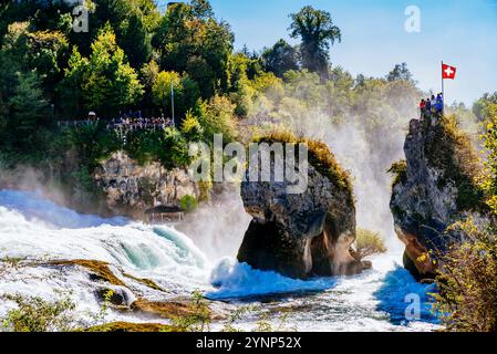 Cascate del Reno e Rheinfallfelsen. Le Cascate del Reno sono una cascata situata in Svizzera e la più potente cascata d'Europa. Le cascate si trovano su Foto Stock