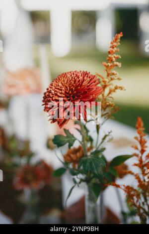 Elegante arredamento da tavolo sul retro con vivaci composizioni floreali autunnali, portacandele in ottone e un ricco portabandele in velluto di terracotta. Foto Stock