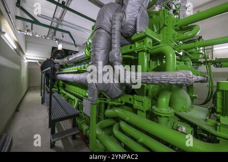 Impianto di biogas, motore a gas per la produzione di energia elettrica, generatore, in impianti di cogenerazione di calore ed energia elettrica, il gas è prodotto da varie biomasse, in Foto Stock