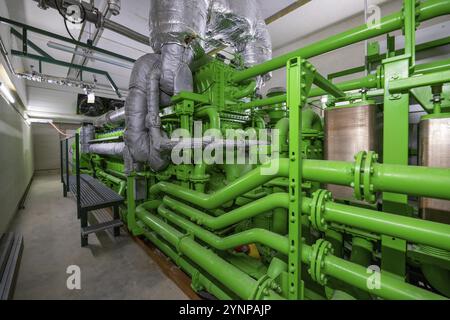 Impianto di biogas, motore a gas per la produzione di energia elettrica, generatore, in impianti di cogenerazione di calore ed energia elettrica, il gas è prodotto da varie biomasse, in Foto Stock