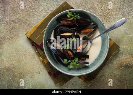 Cozze in conchiglie, salsa cremosa all'aglio, cozze in salsa di besciamella, fatte in casa, nessuno Foto Stock