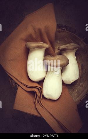 Funghi eringi freschi, funghi di ostriche reali crudi, tre pezzi, cucina asiatica, niente persone Foto Stock