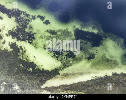 Fotografia aerea, vista dall'alto verso il basso di una zona d'acqua poco profonda in forte pendenza nel lago di Costanza, distretto di Costanza, Baden-Wuerttemberg, Germania, Euro Foto Stock